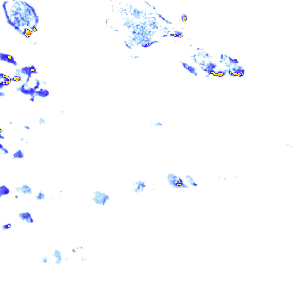 rainLayer