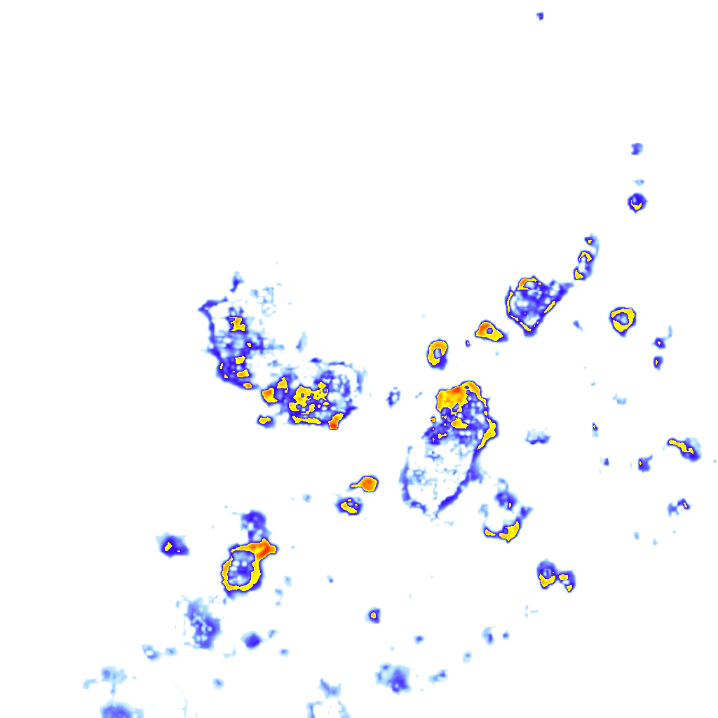 rainLayer