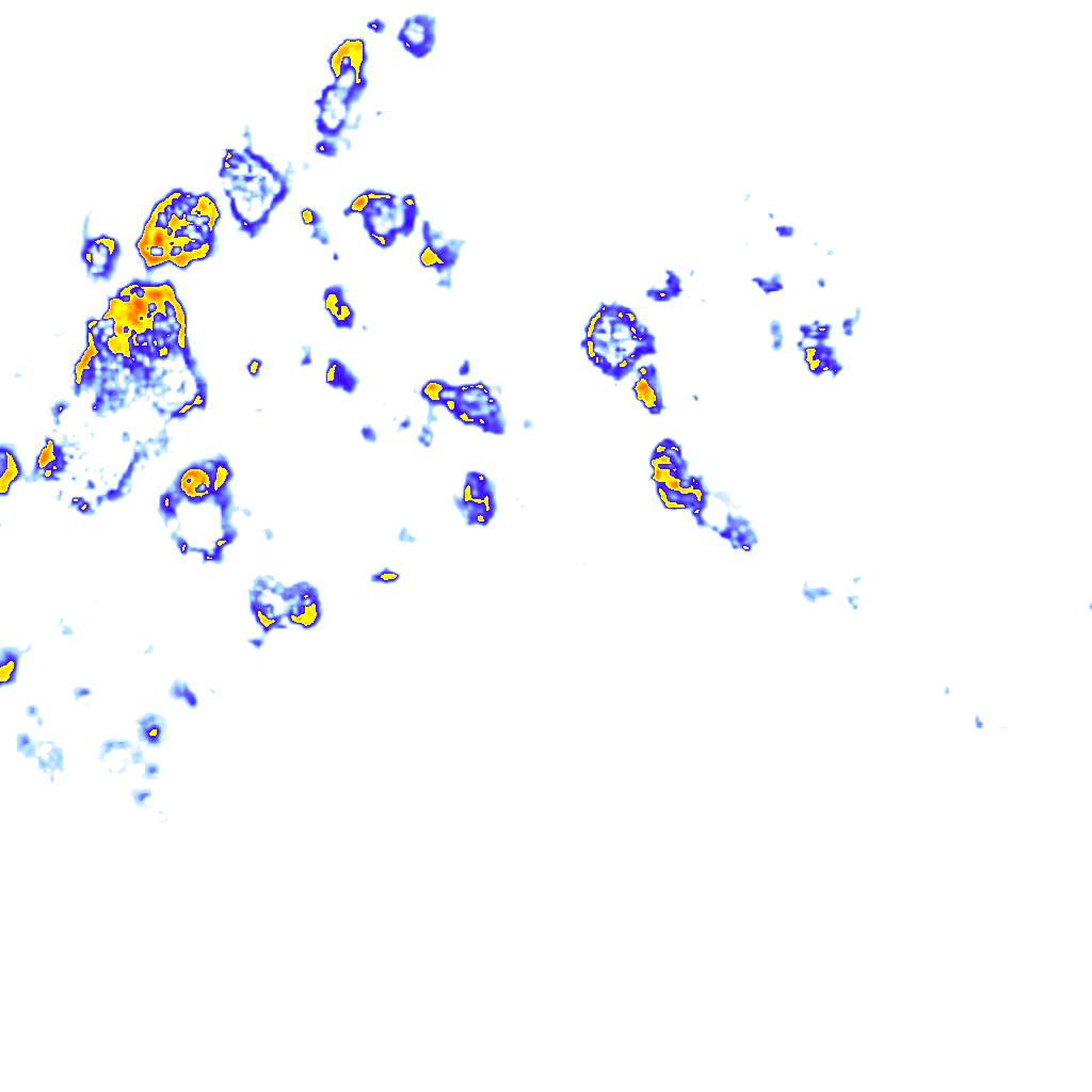 Image Layer