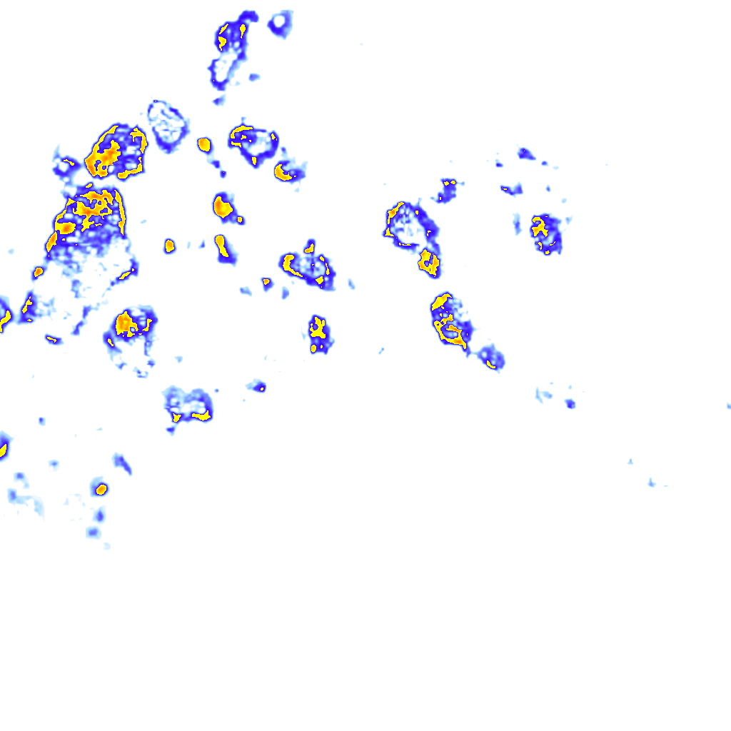 rainLayer