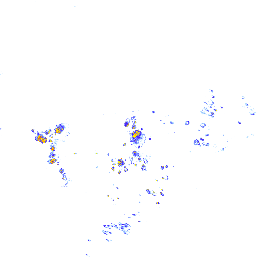 rainLayer