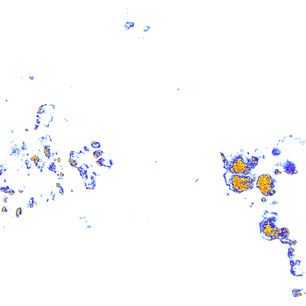 rainLayer