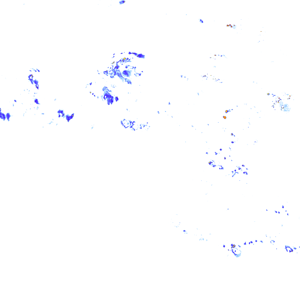 rainLayer