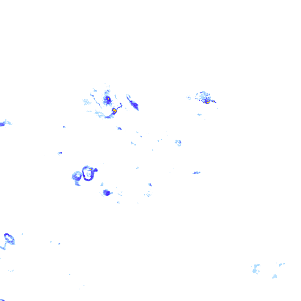 rainLayer