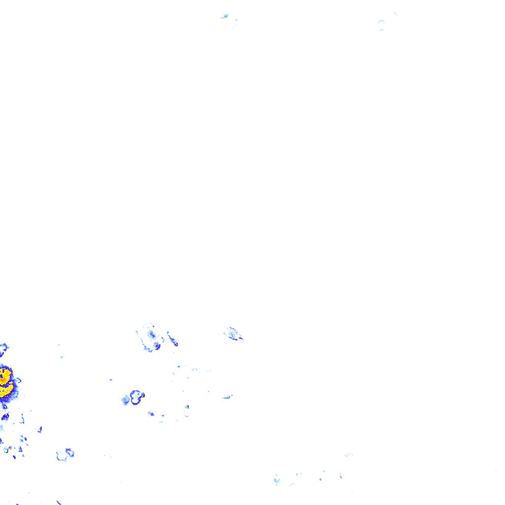 rainLayer