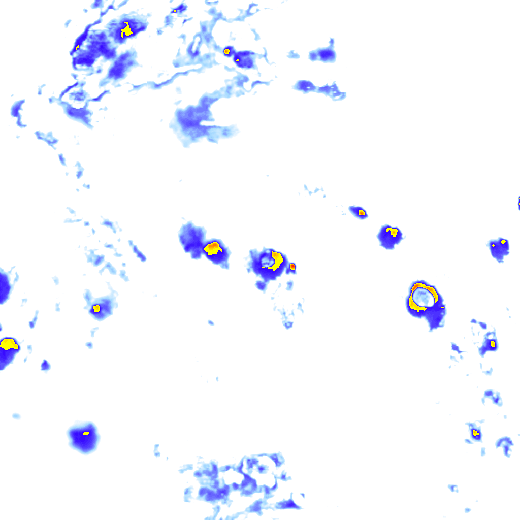 Image Layer
