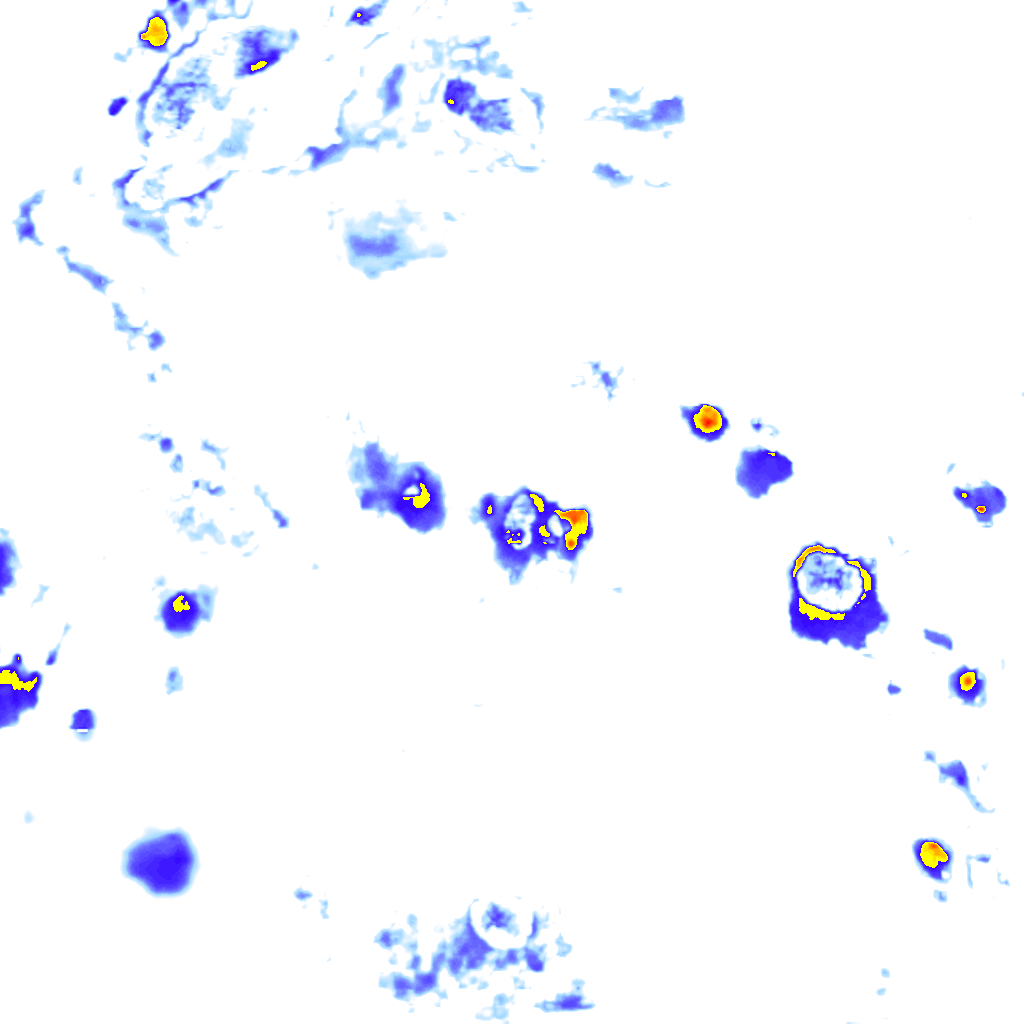 rainLayer