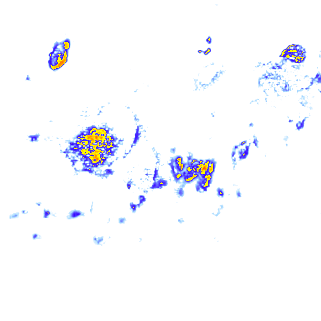 rainLayer