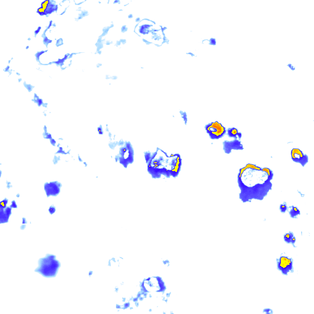 rainLayer