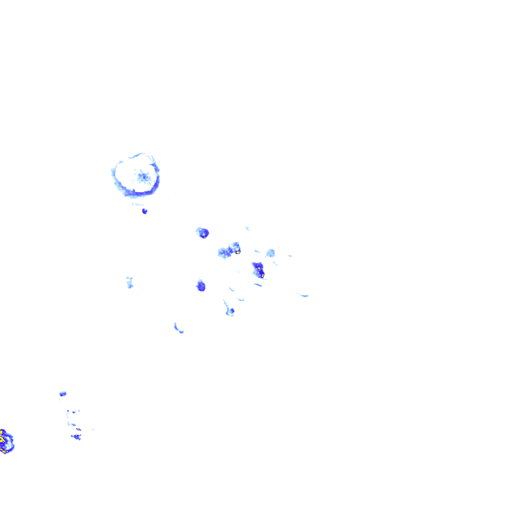 rainLayer