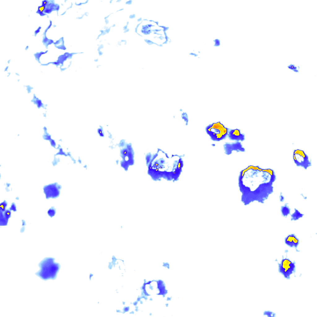 rainLayer