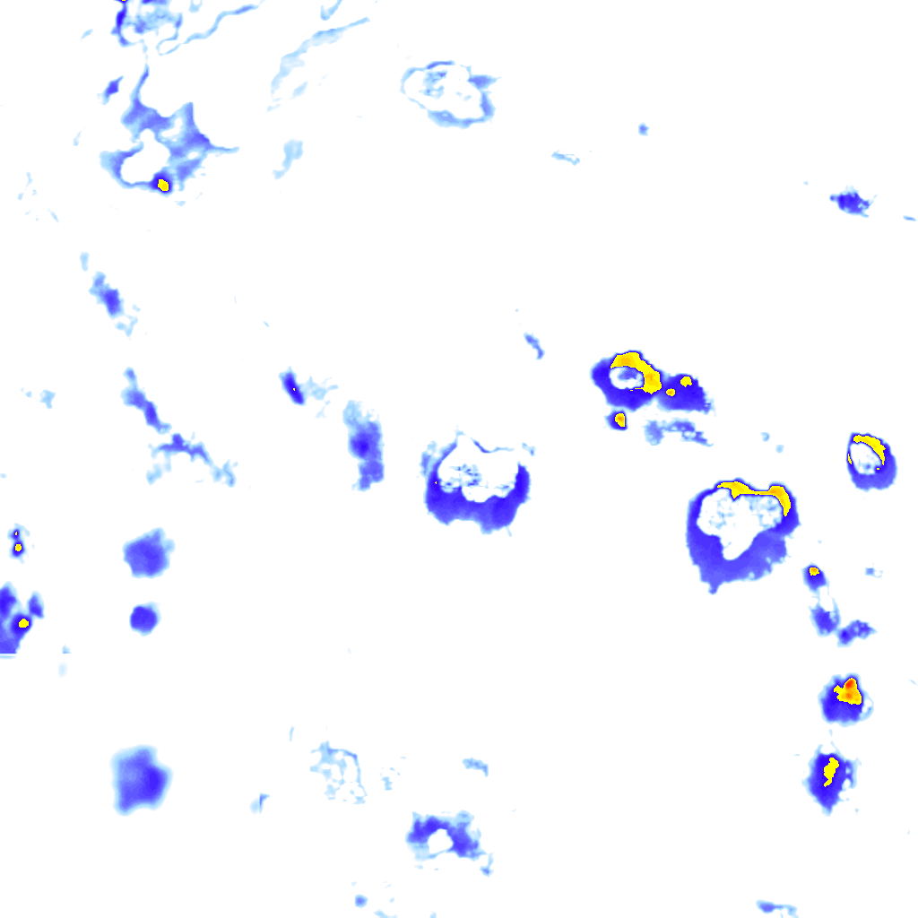 Image Layer