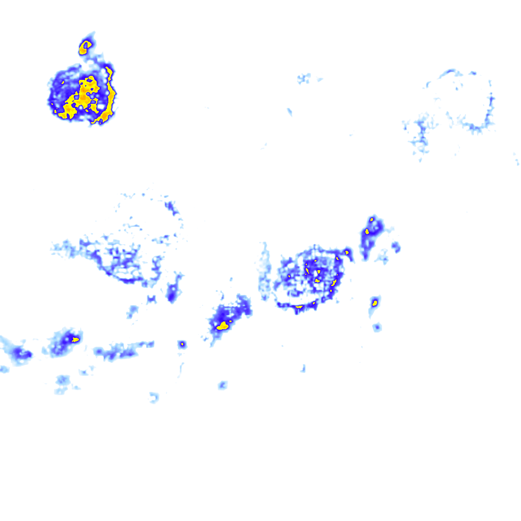 Image Layer