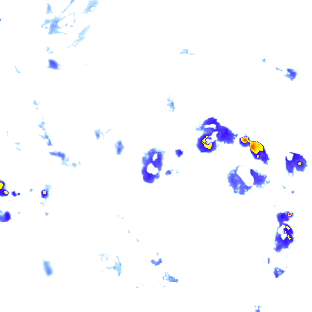 Image Layer