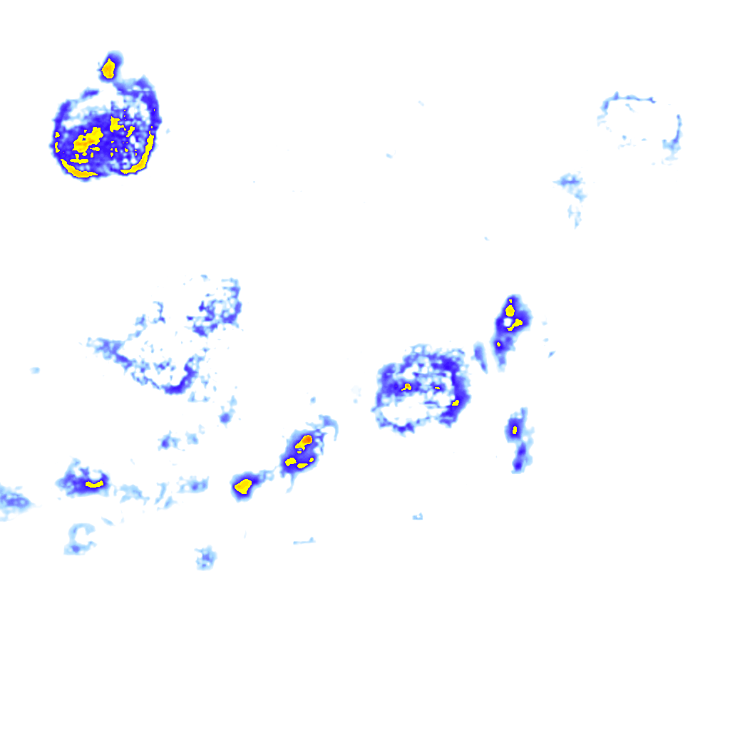 Image Layer
