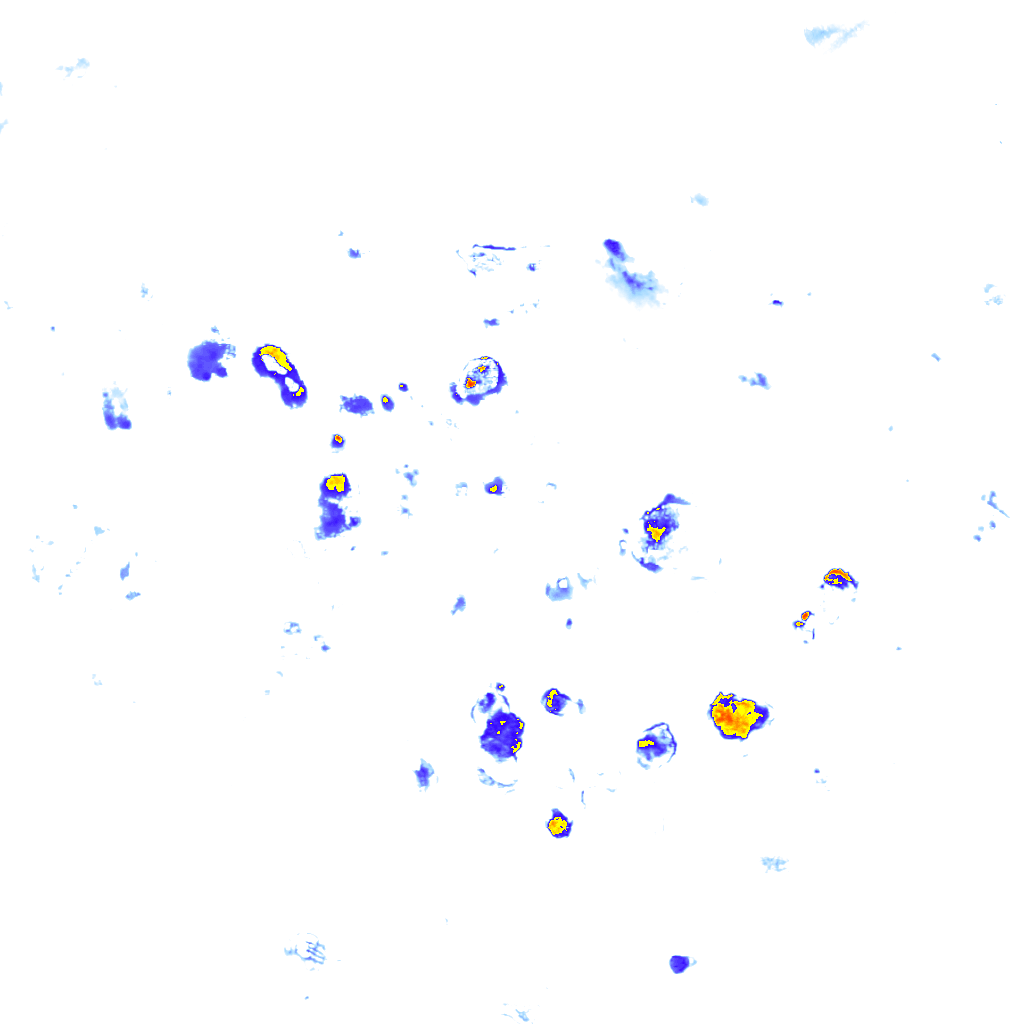 rainLayer