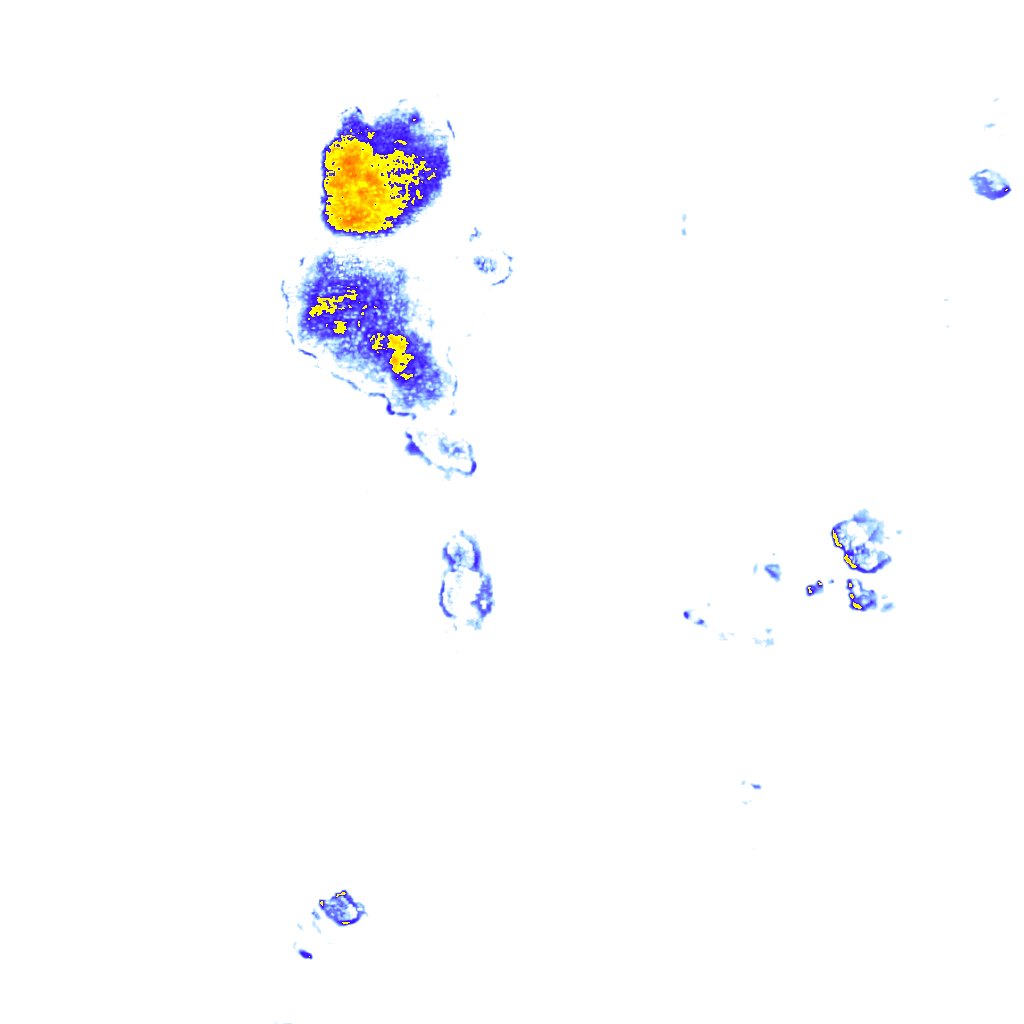Image Layer