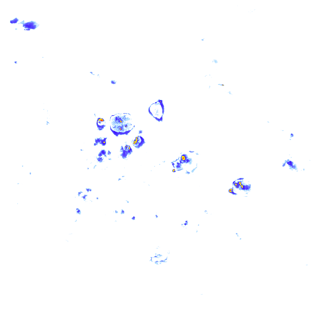 Image Layer