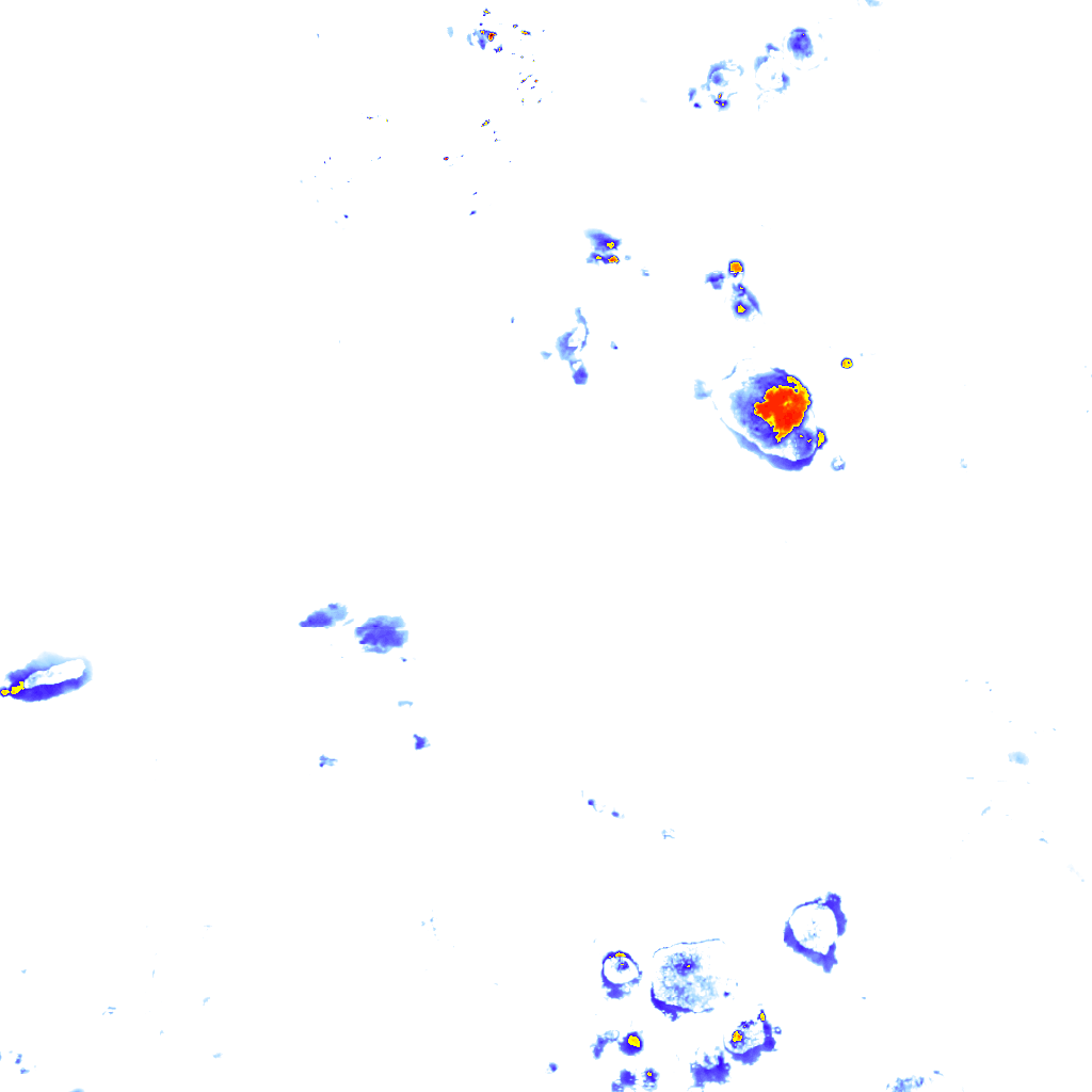 Image Layer