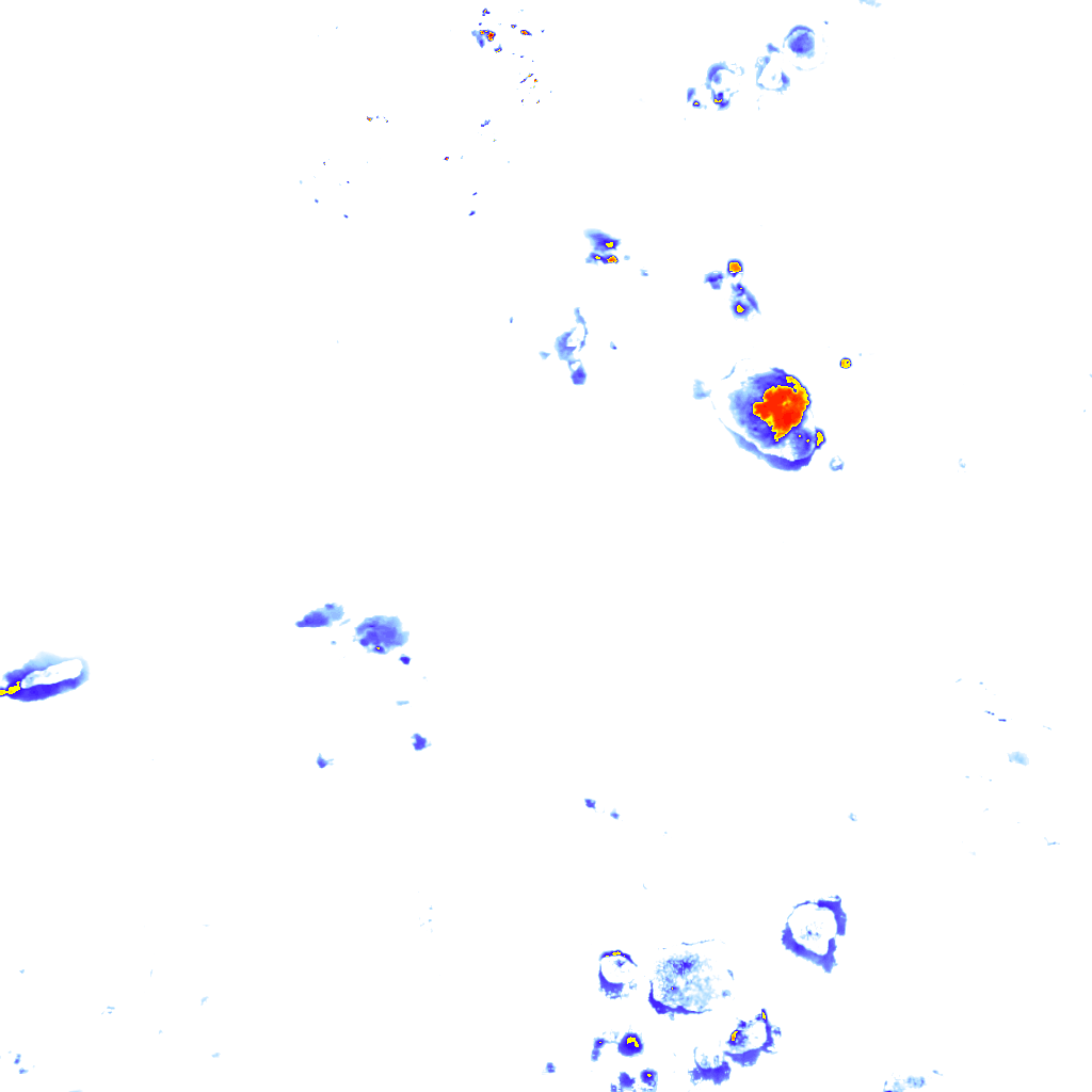 rainLayer