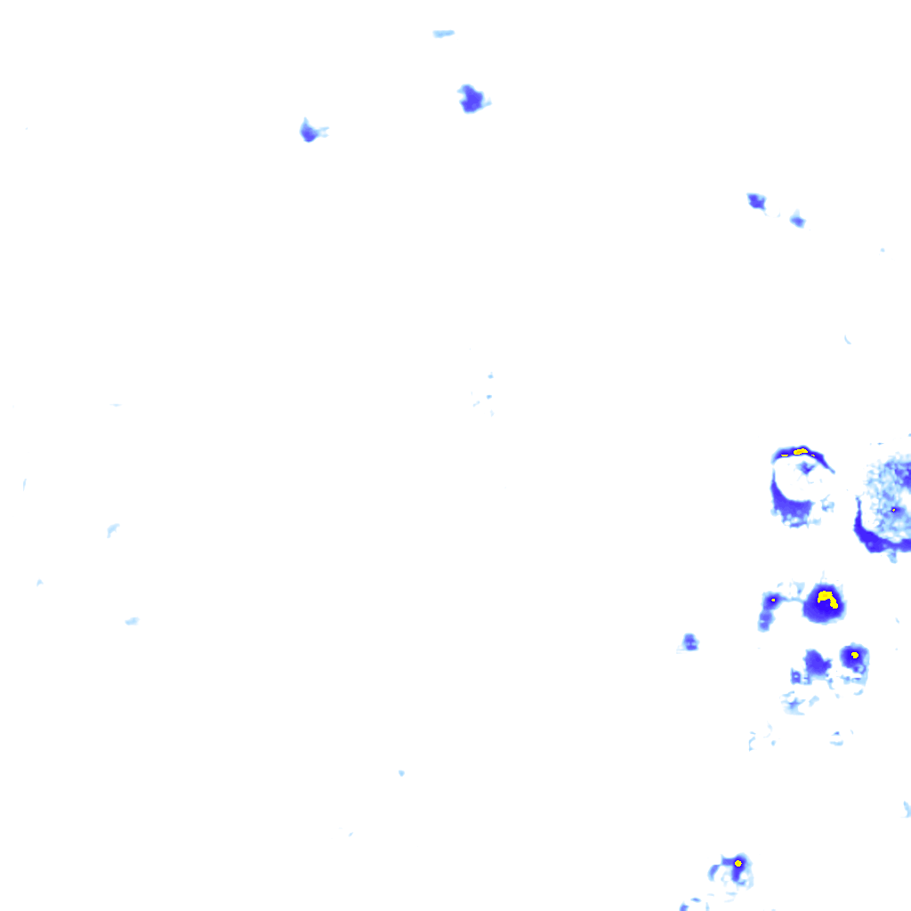 rainLayer