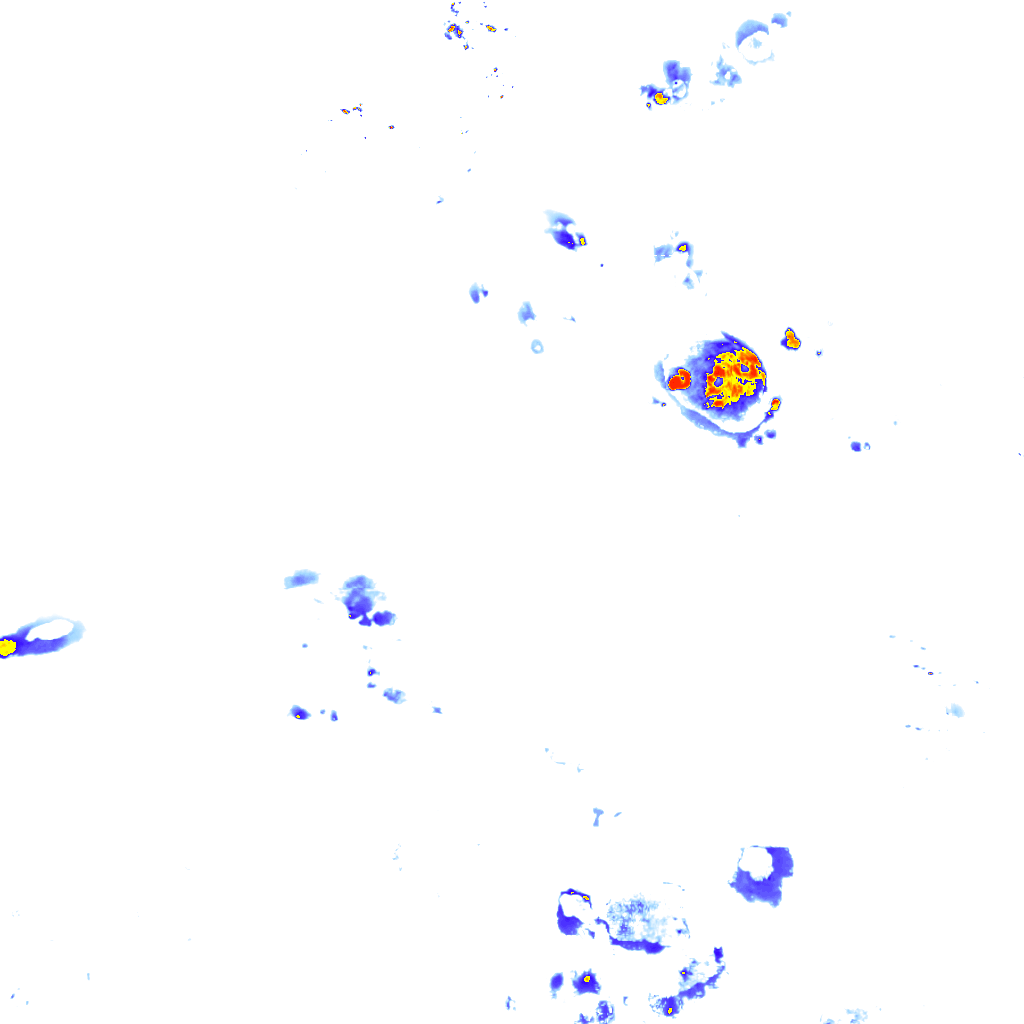 rainLayer