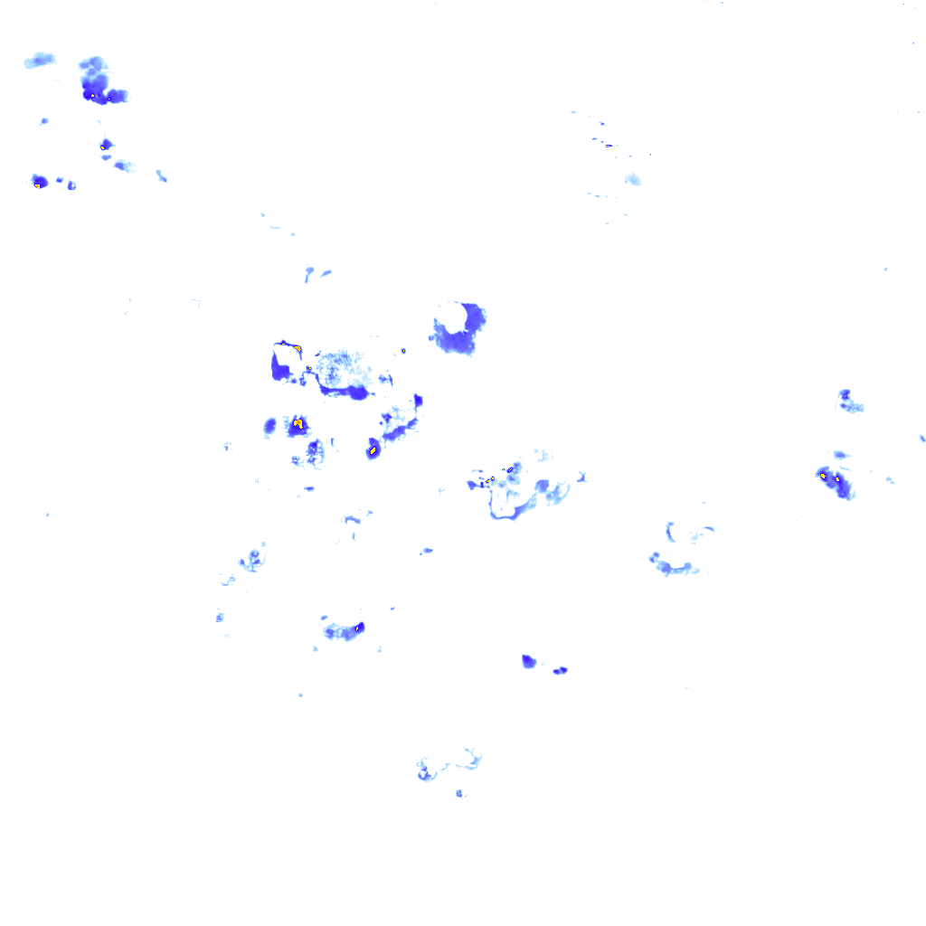 rainLayer