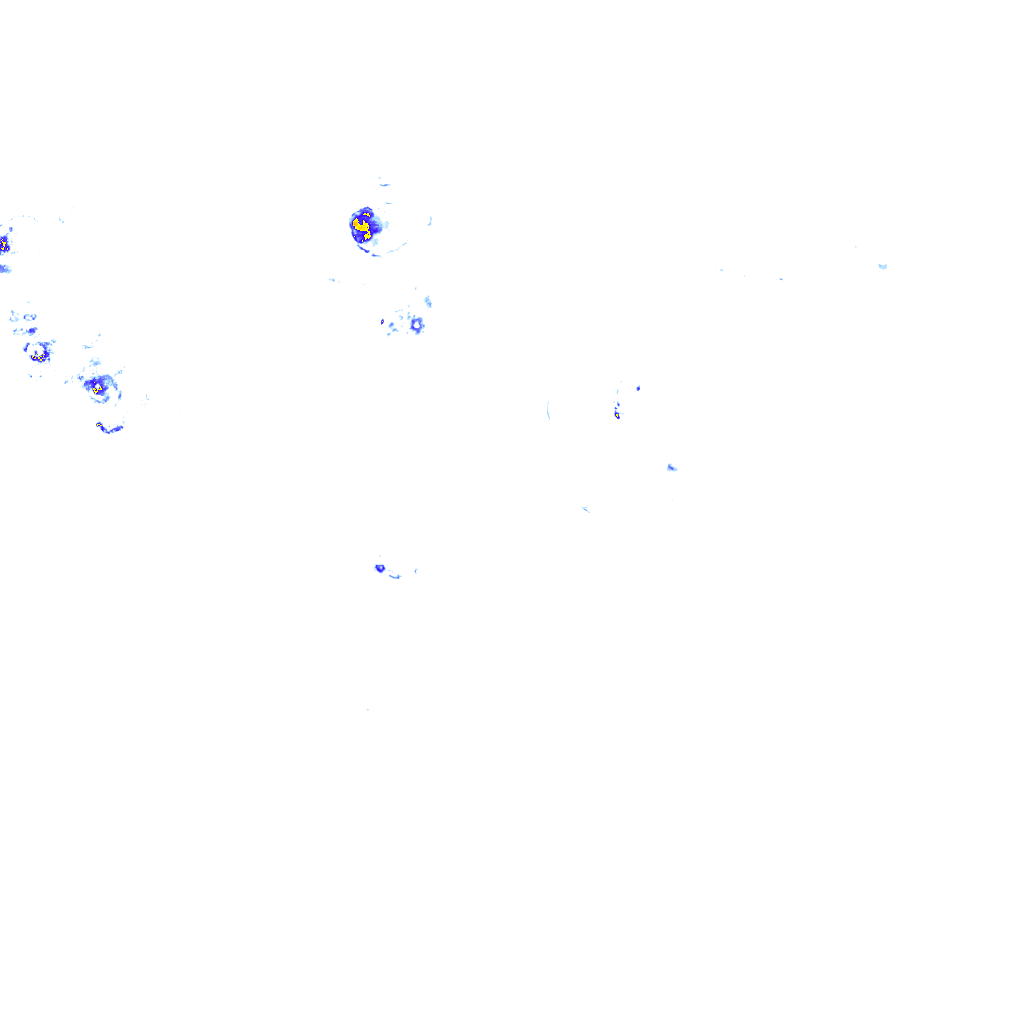 rainLayer