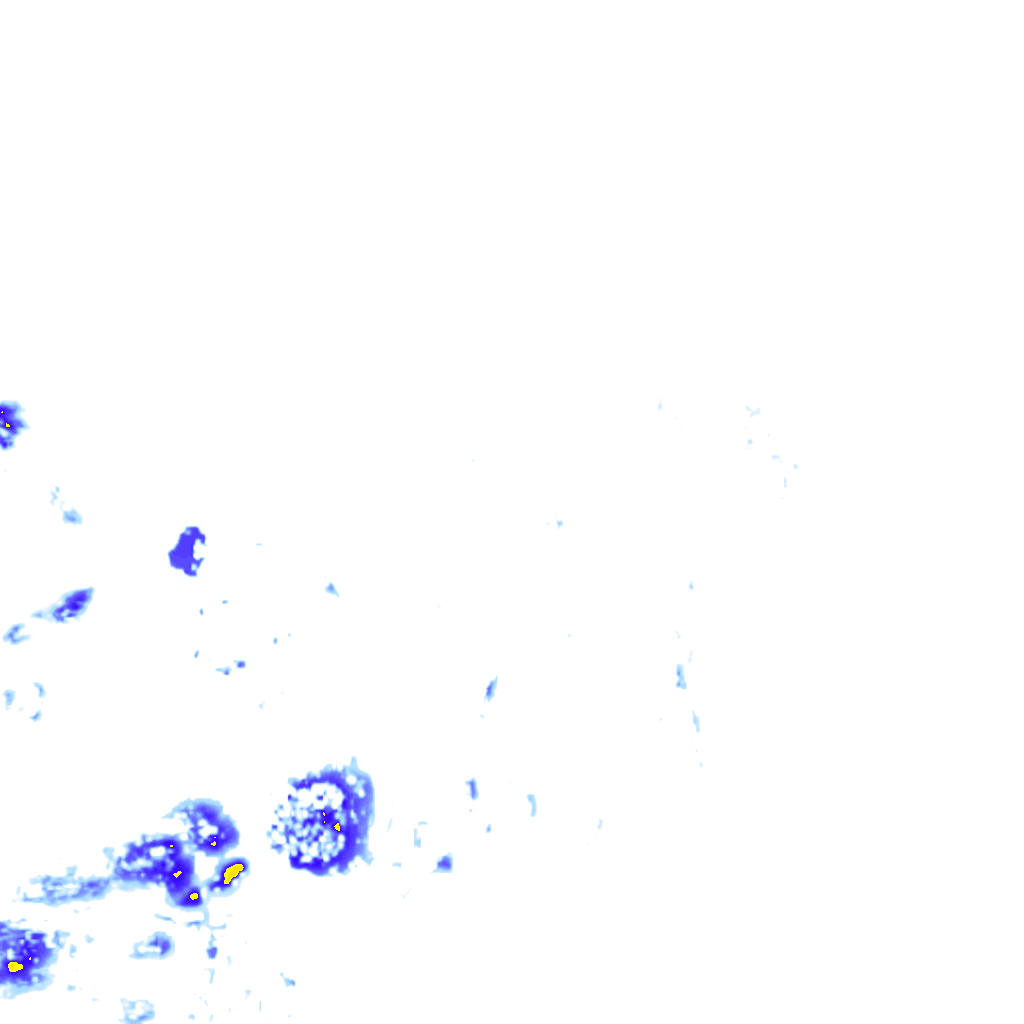 rainLayer
