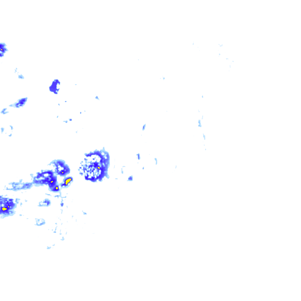 rainLayer