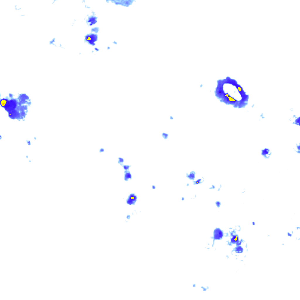 rainLayer