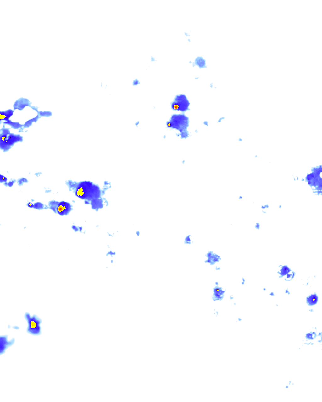 Image Layer