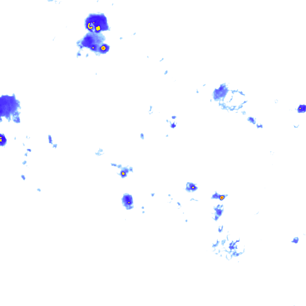 Image Layer