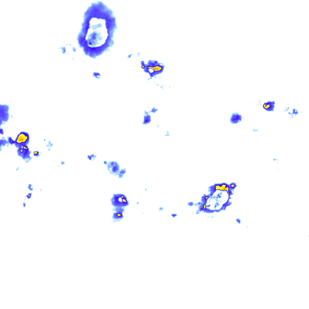 Image Layer