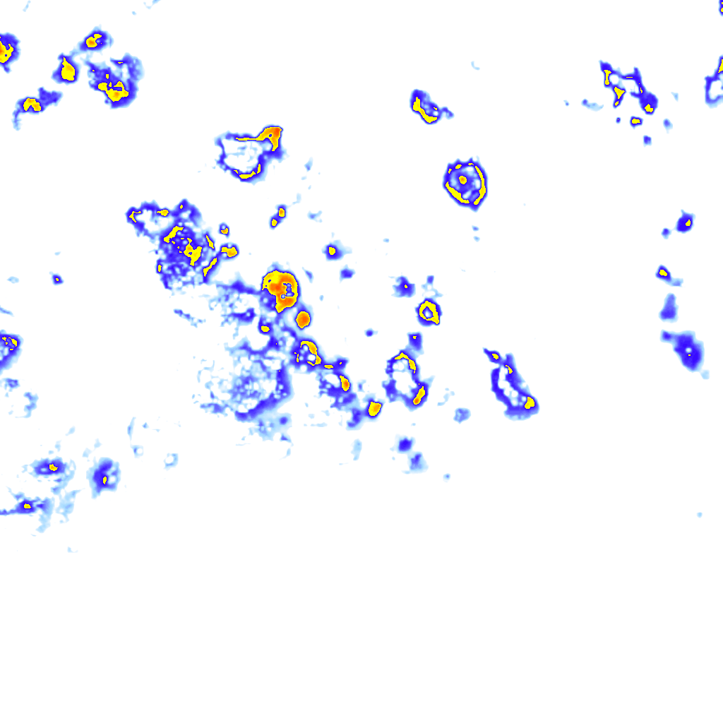 Image Layer
