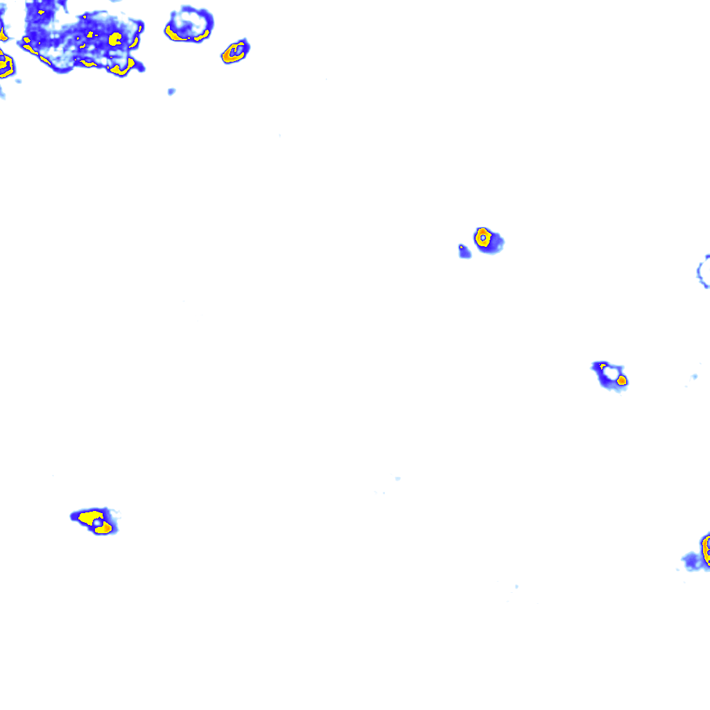 rainLayer