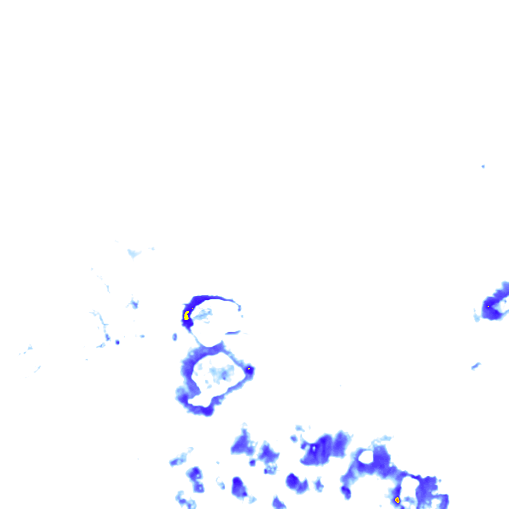rainLayer