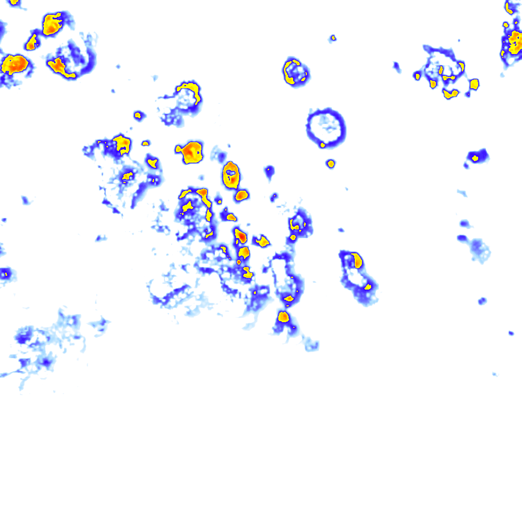 Image Layer