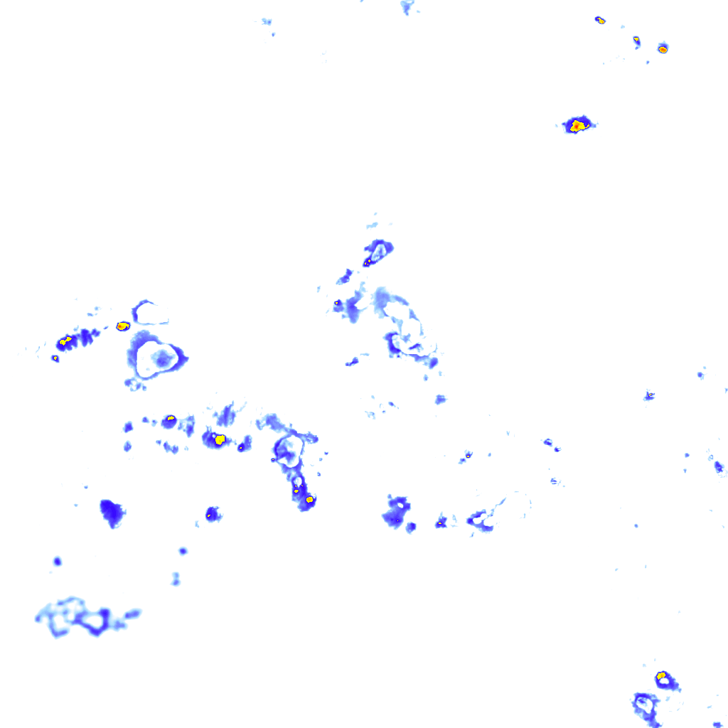 rainLayer