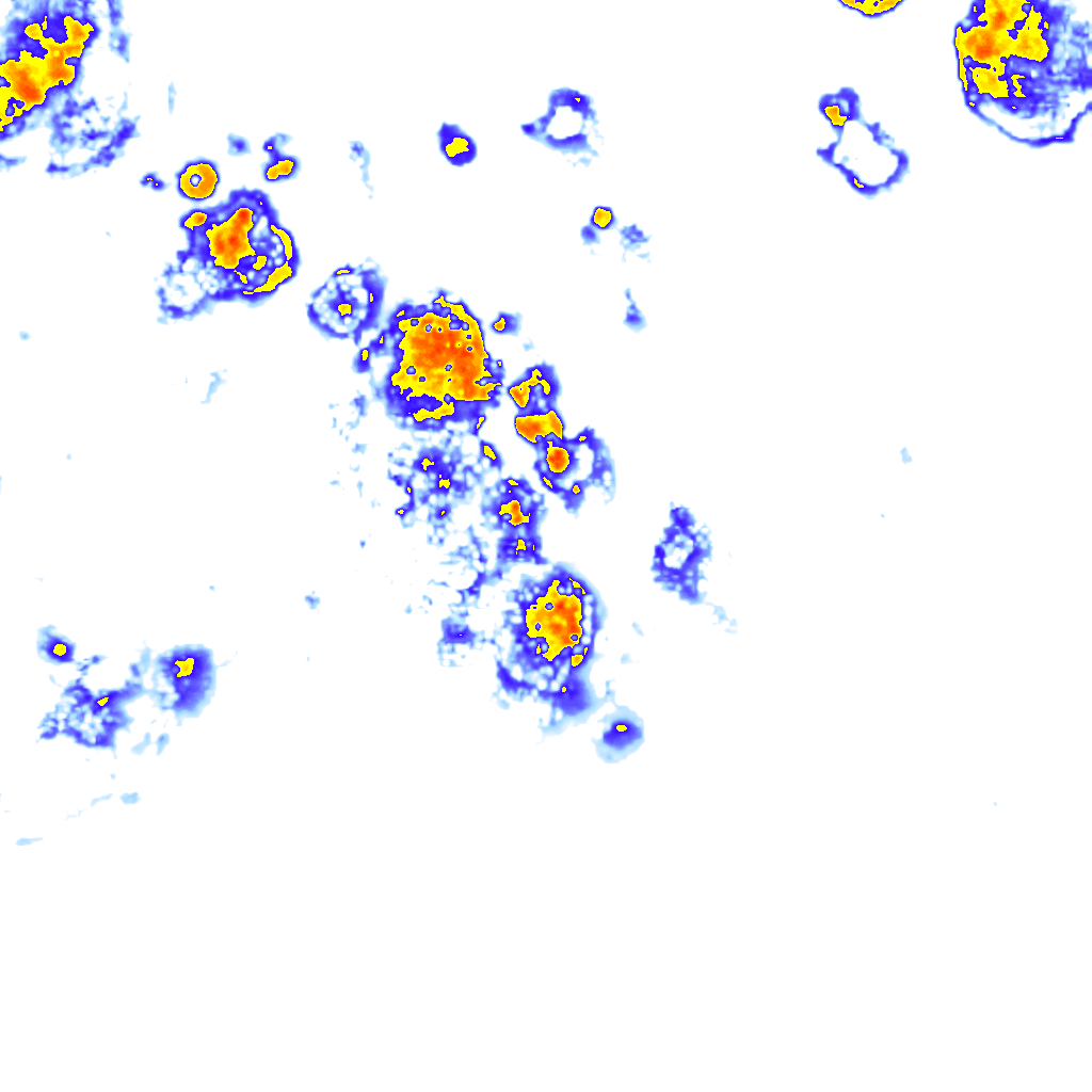 Image Layer