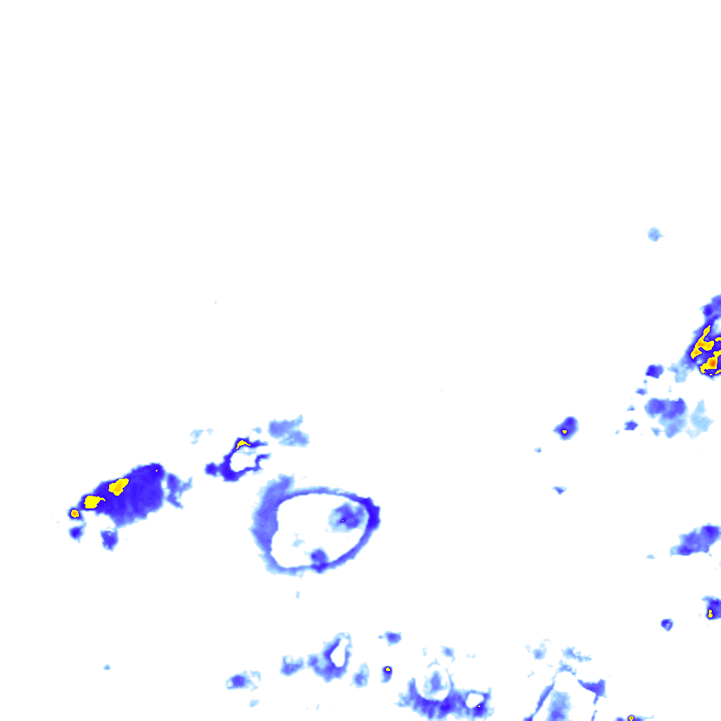 Image Layer