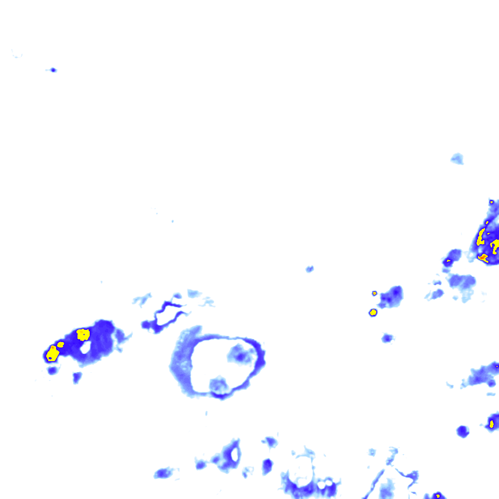 rainLayer