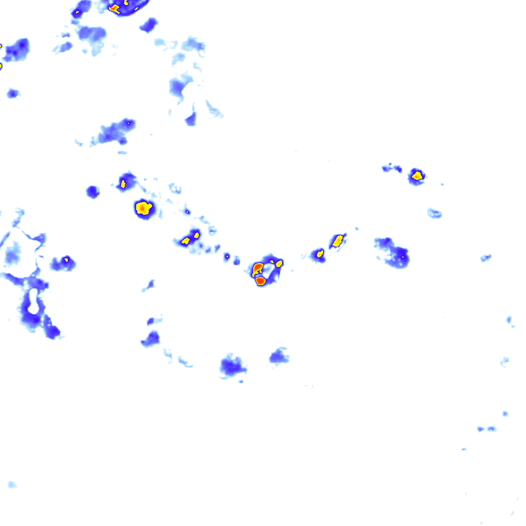 rainLayer