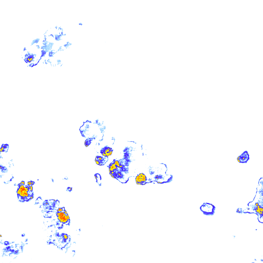 Image Layer