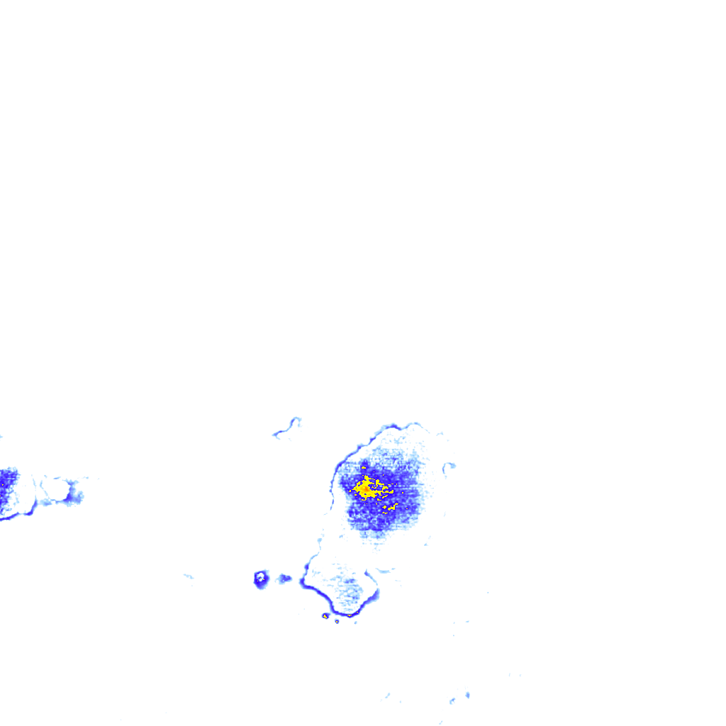 rainLayer
