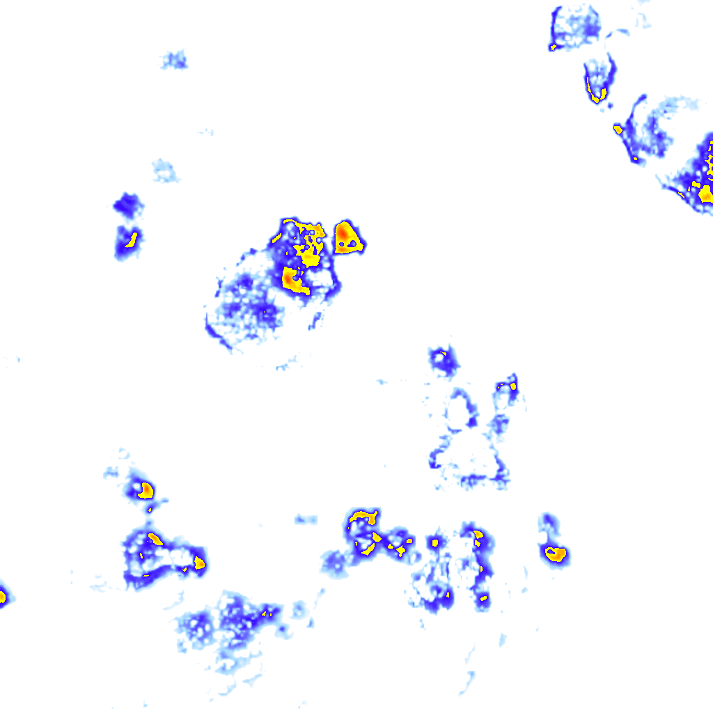 rainLayer