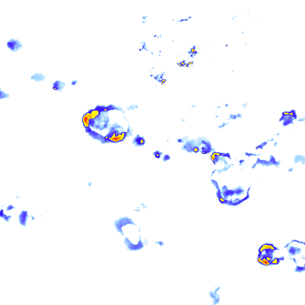 Image Layer