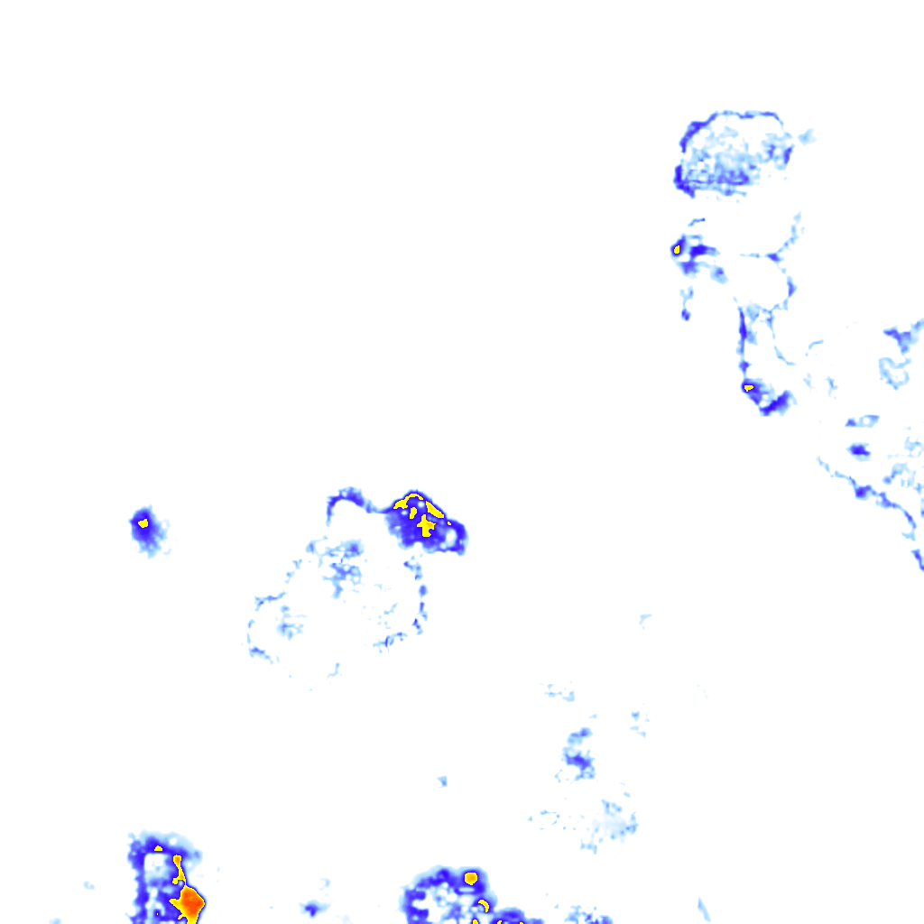 rainLayer