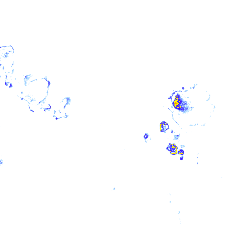Image Layer