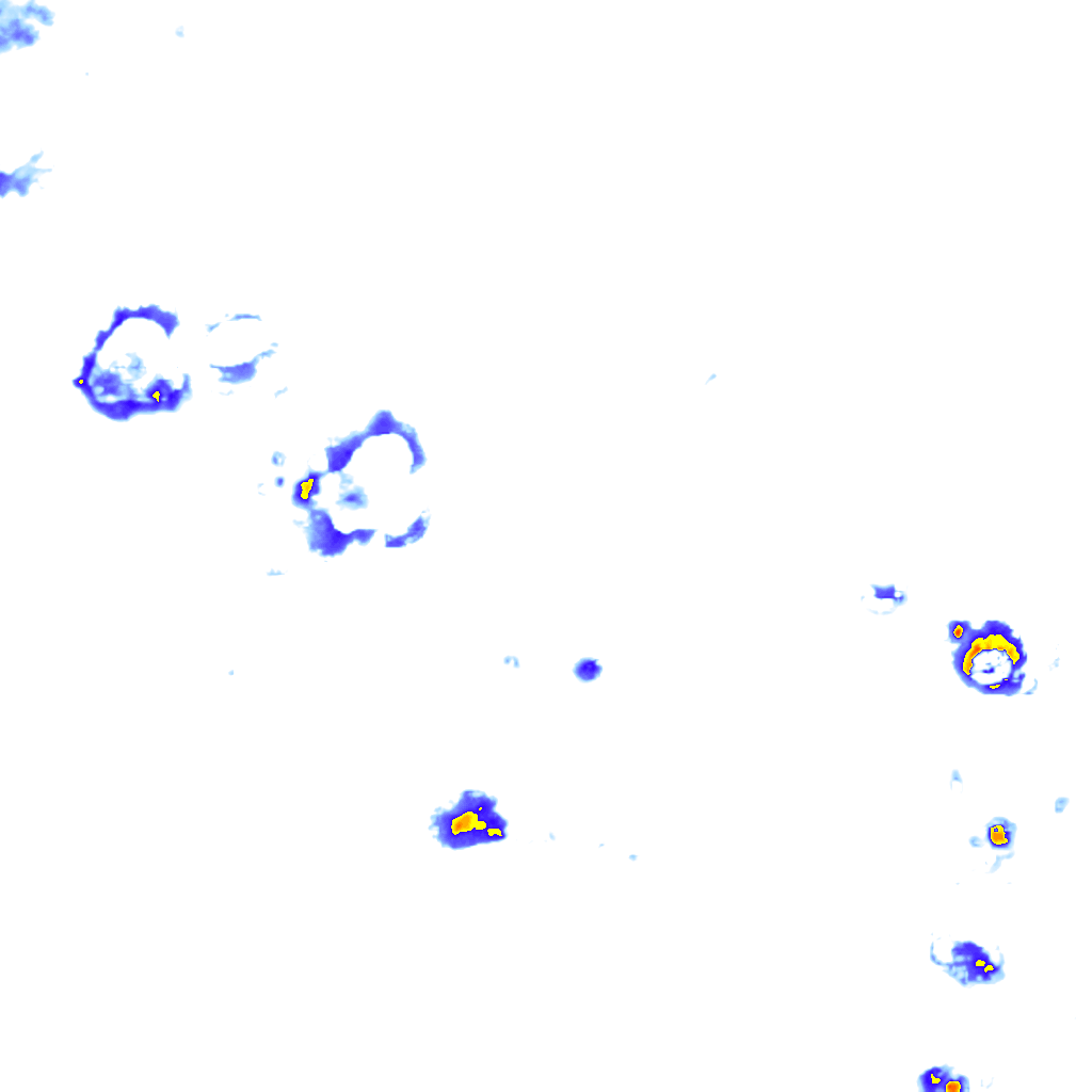 rainLayer